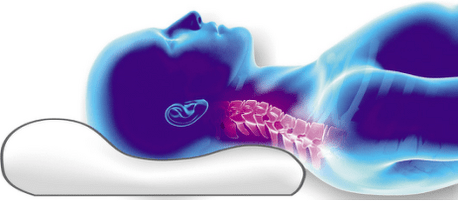 postavitev hrbtenice na ortopedsko blazino