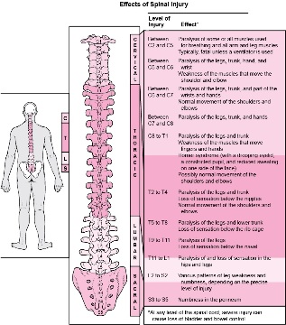 bolezni v telesu, povezane s poškodbami različnih delov hrbtenice
